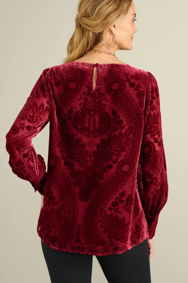 EVelvet Styles | long sleeve-Soft Surroundings Vanetta Velvet Top Jewel Green